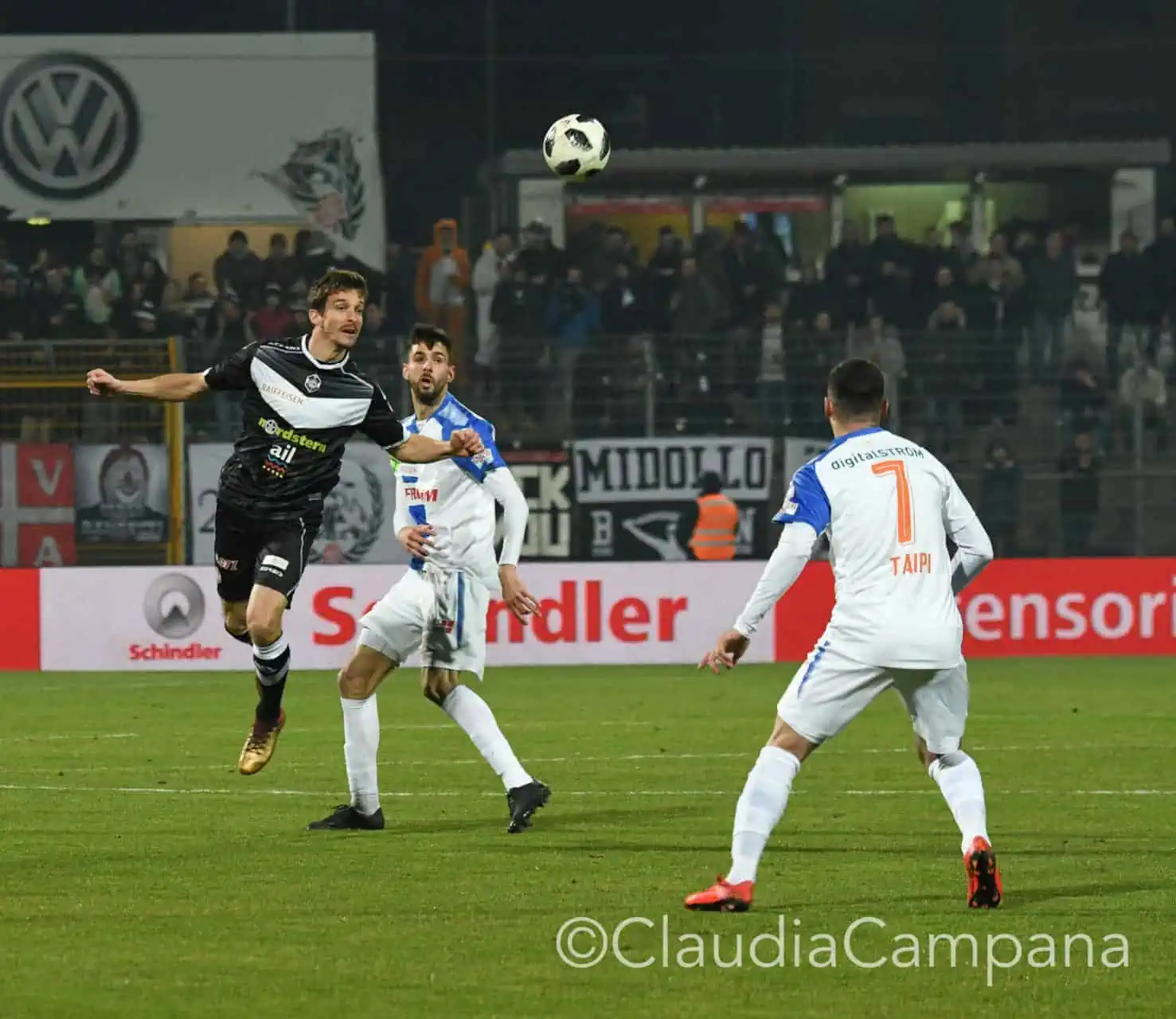 La vittoria contro le cavallette in fotografia 9