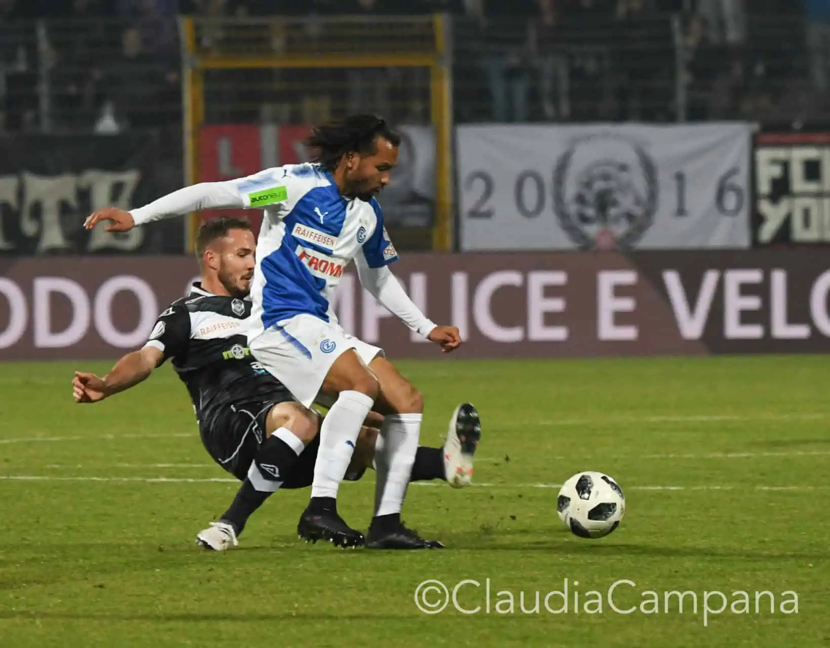 La vittoria contro le cavallette in fotografia 11