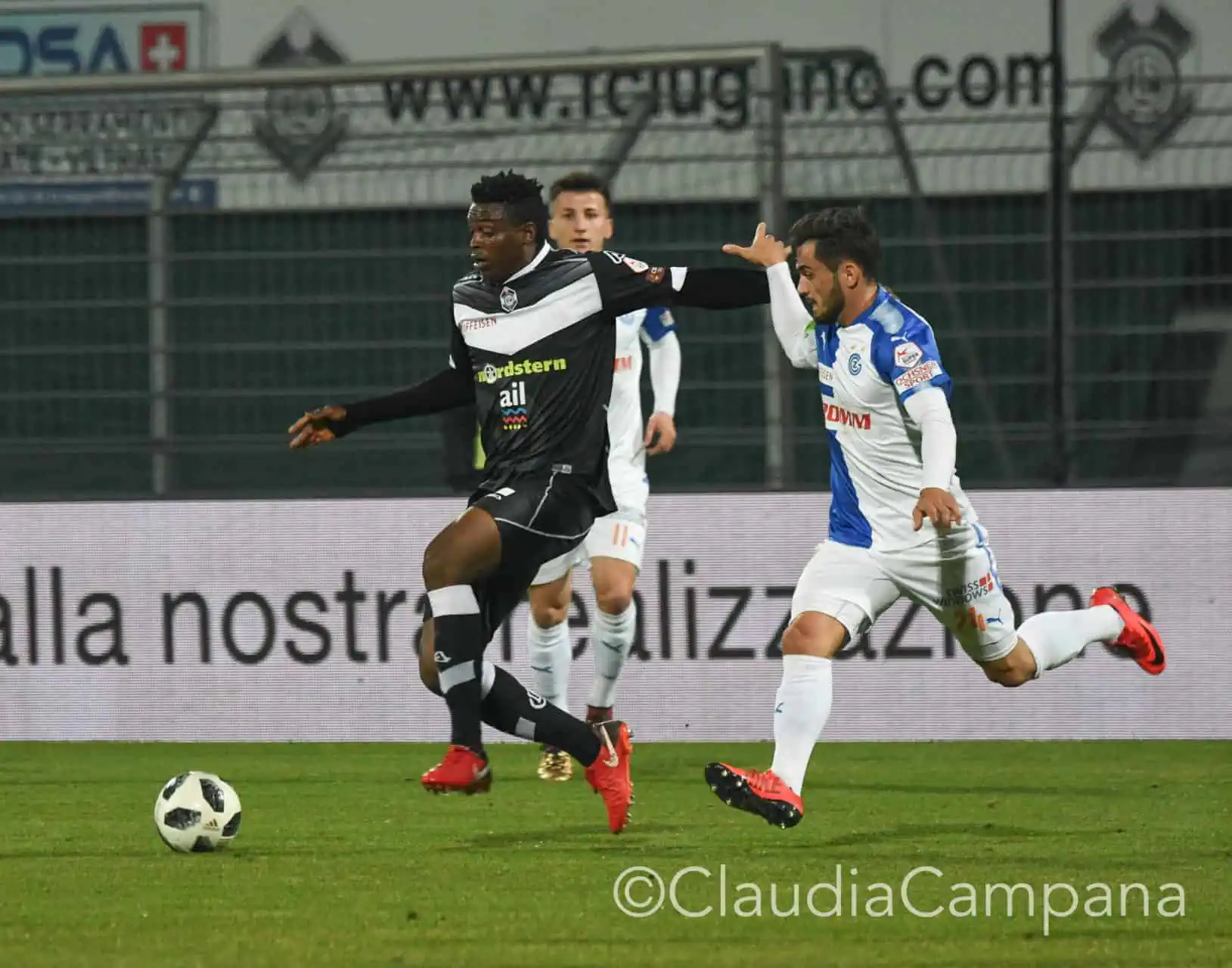 La vittoria contro le cavallette in fotografia 12