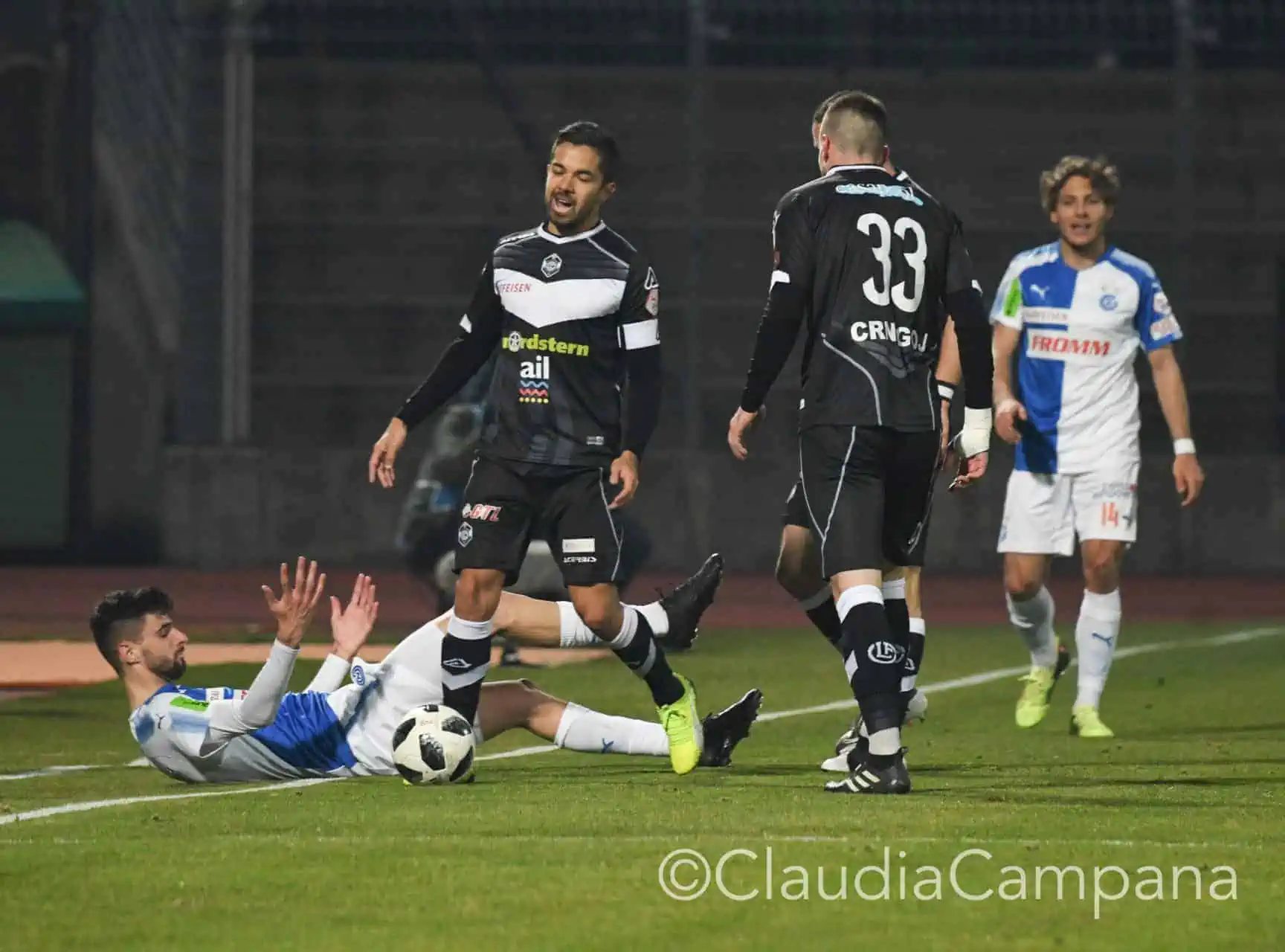 La vittoria contro le cavallette in fotografia 15