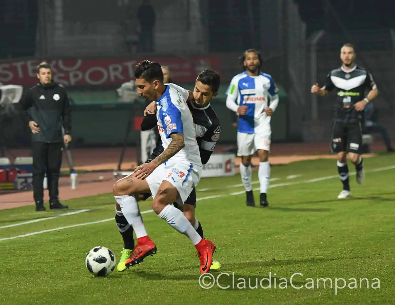 La vittoria contro le cavallette in fotografia 18