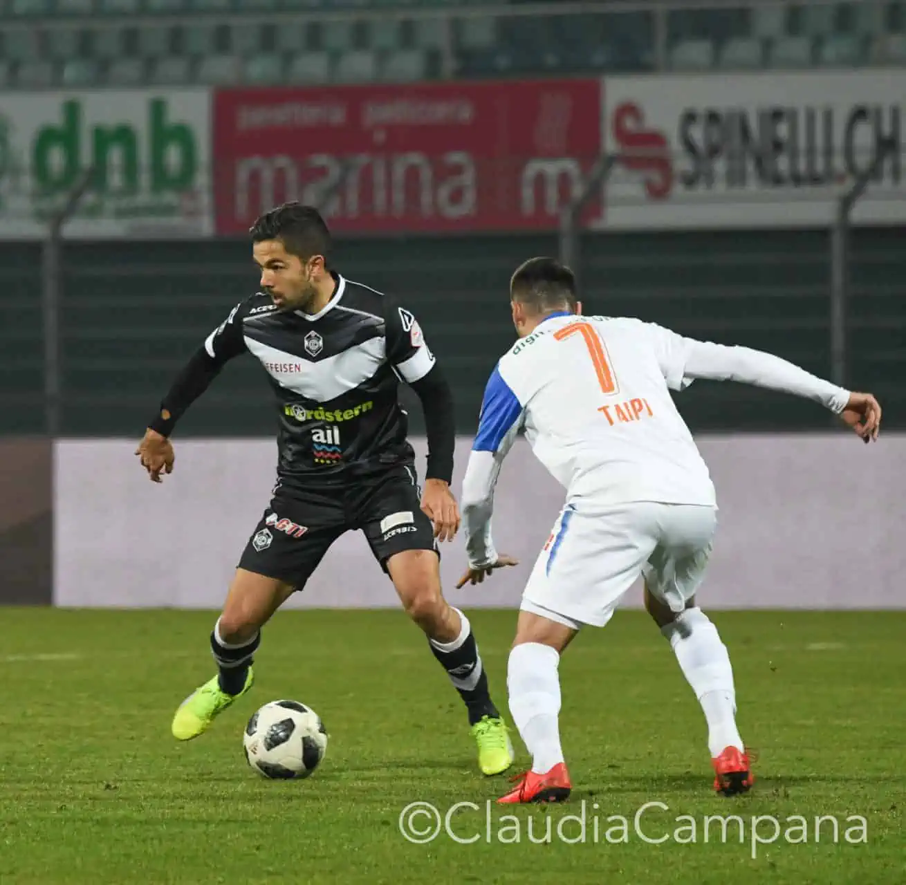 La vittoria contro le cavallette in fotografia 31