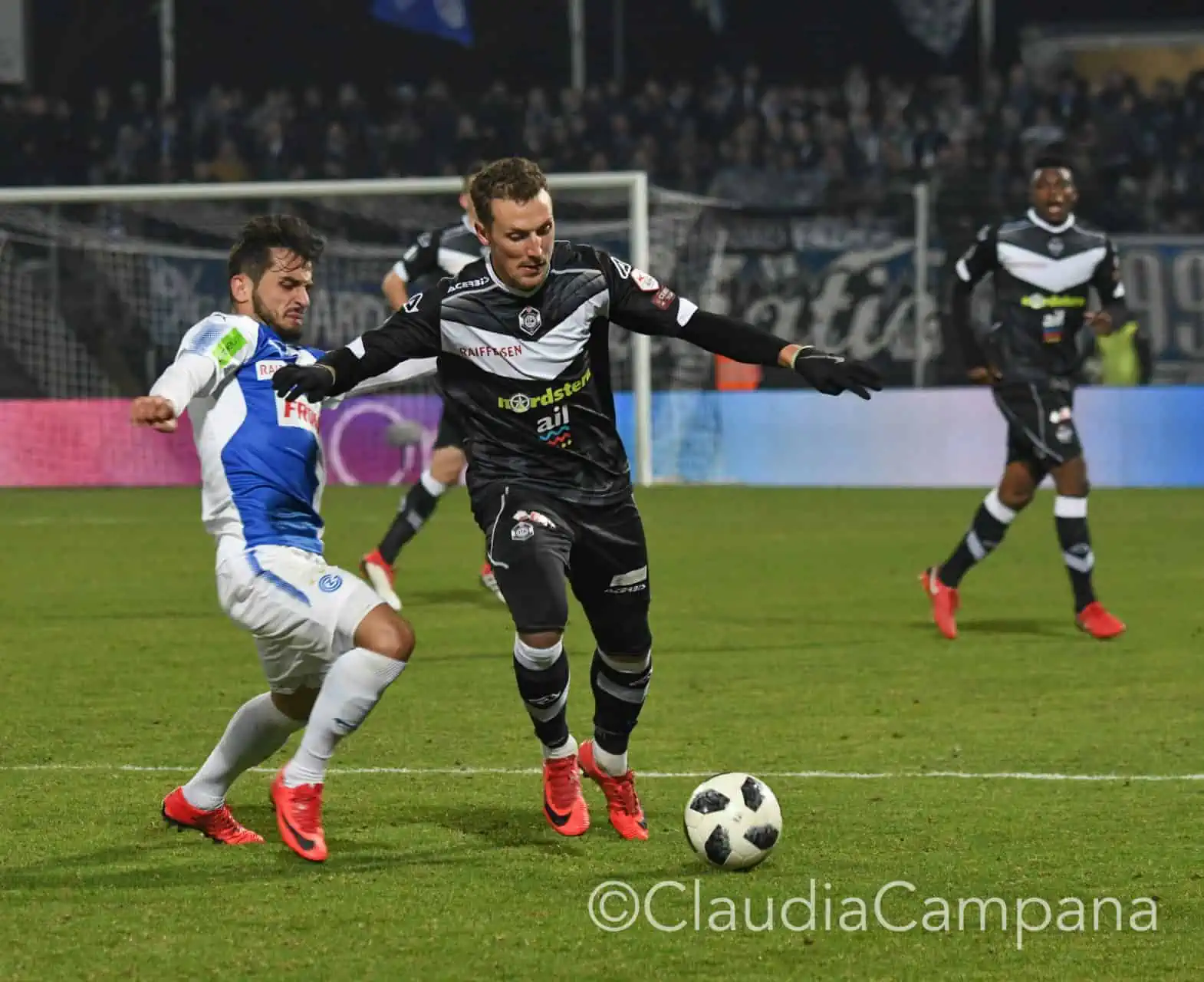 La vittoria contro le cavallette in fotografia 35