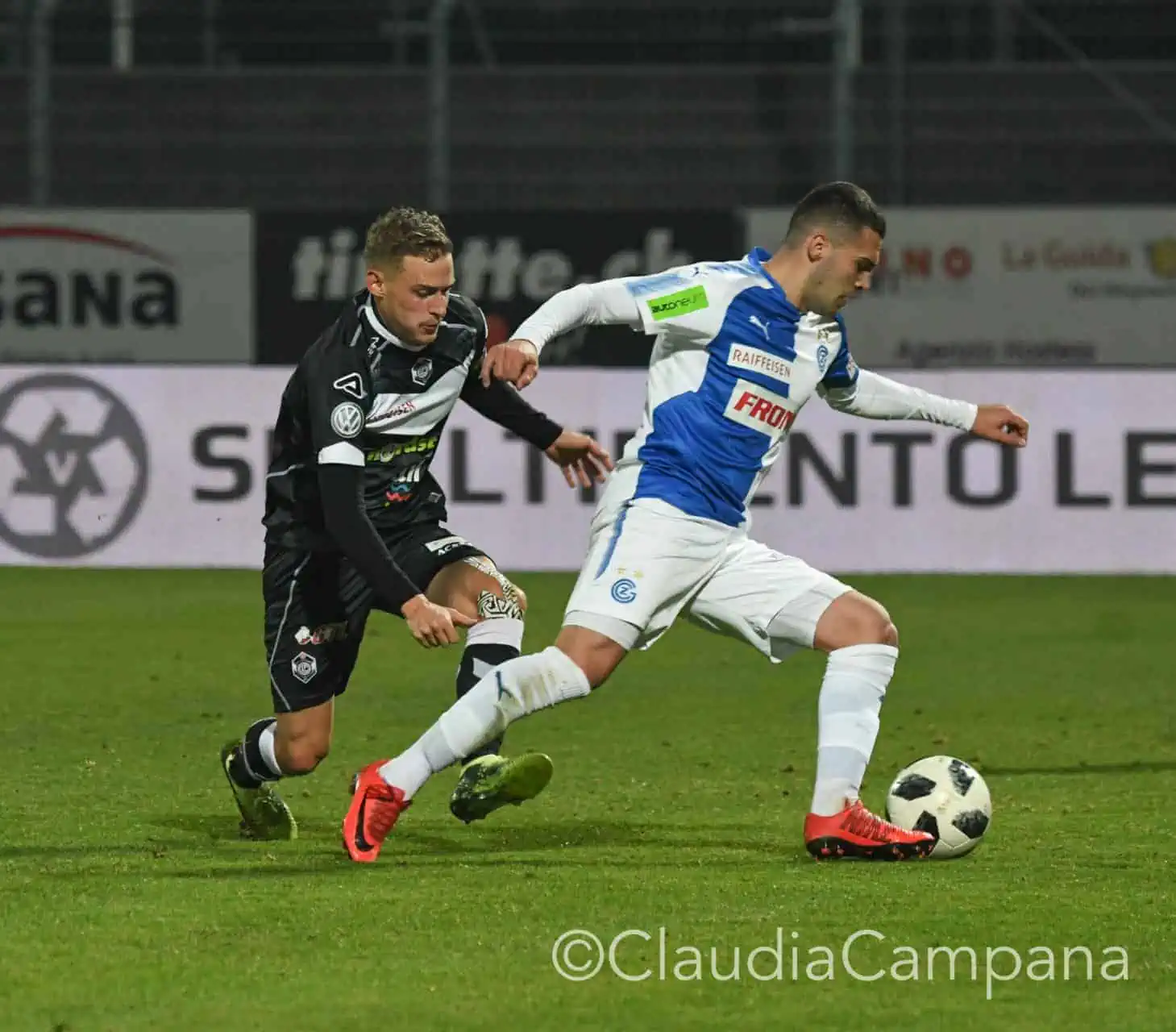 La vittoria contro le cavallette in fotografia 38