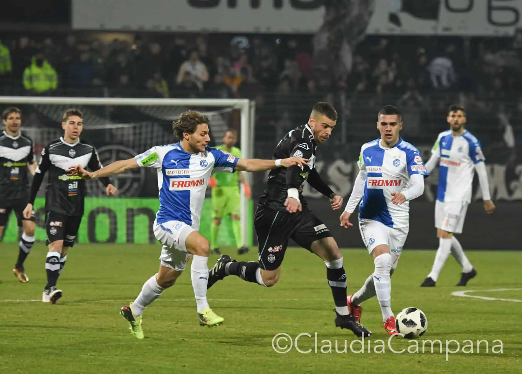 La vittoria contro le cavallette in fotografia 3