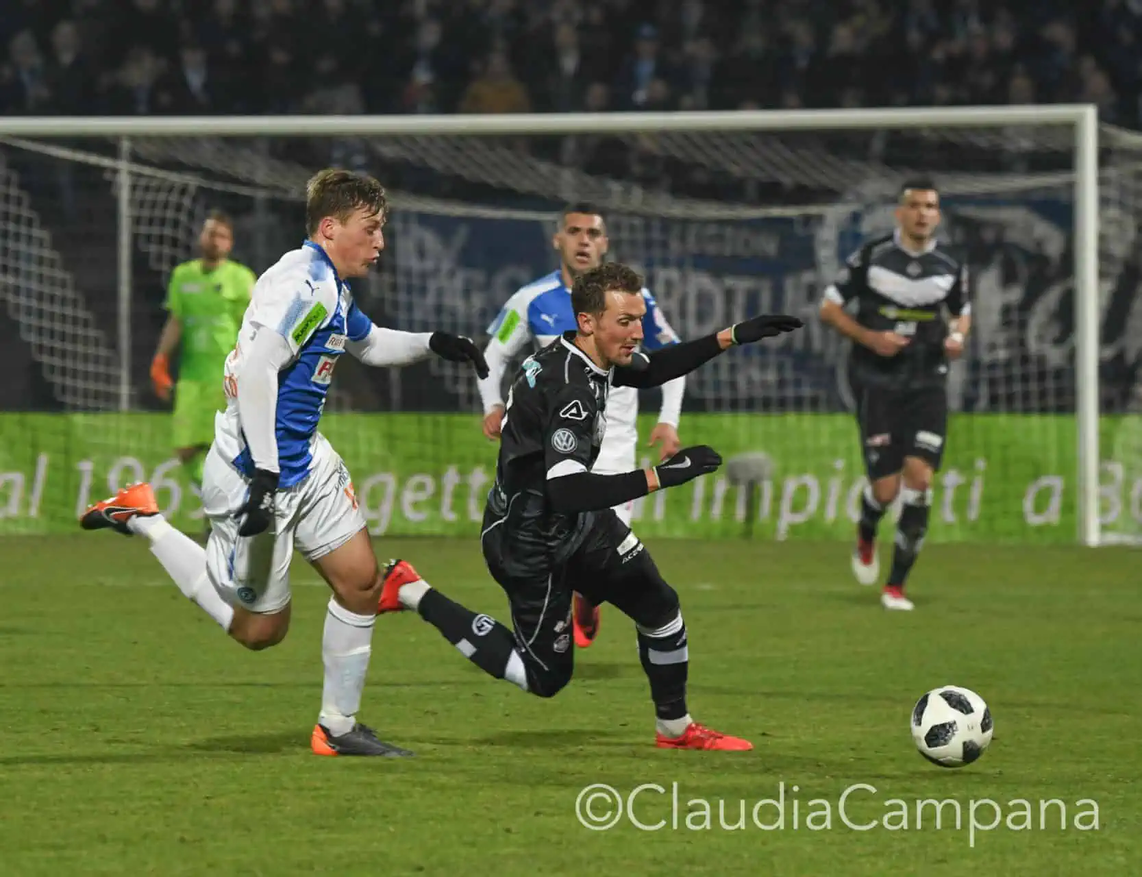 La vittoria contro le cavallette in fotografia 41