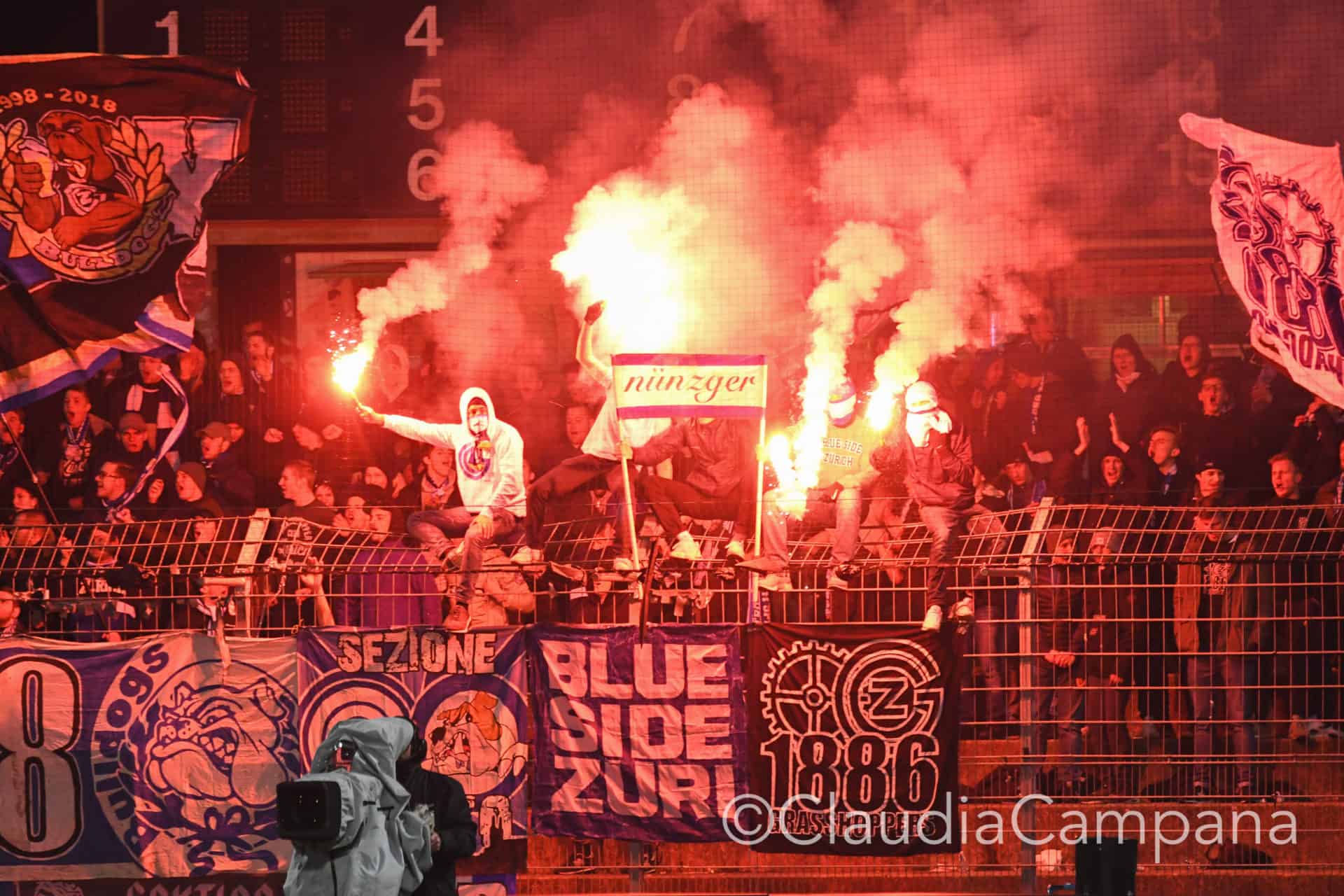 La vittoria contro le cavallette in fotografia 45