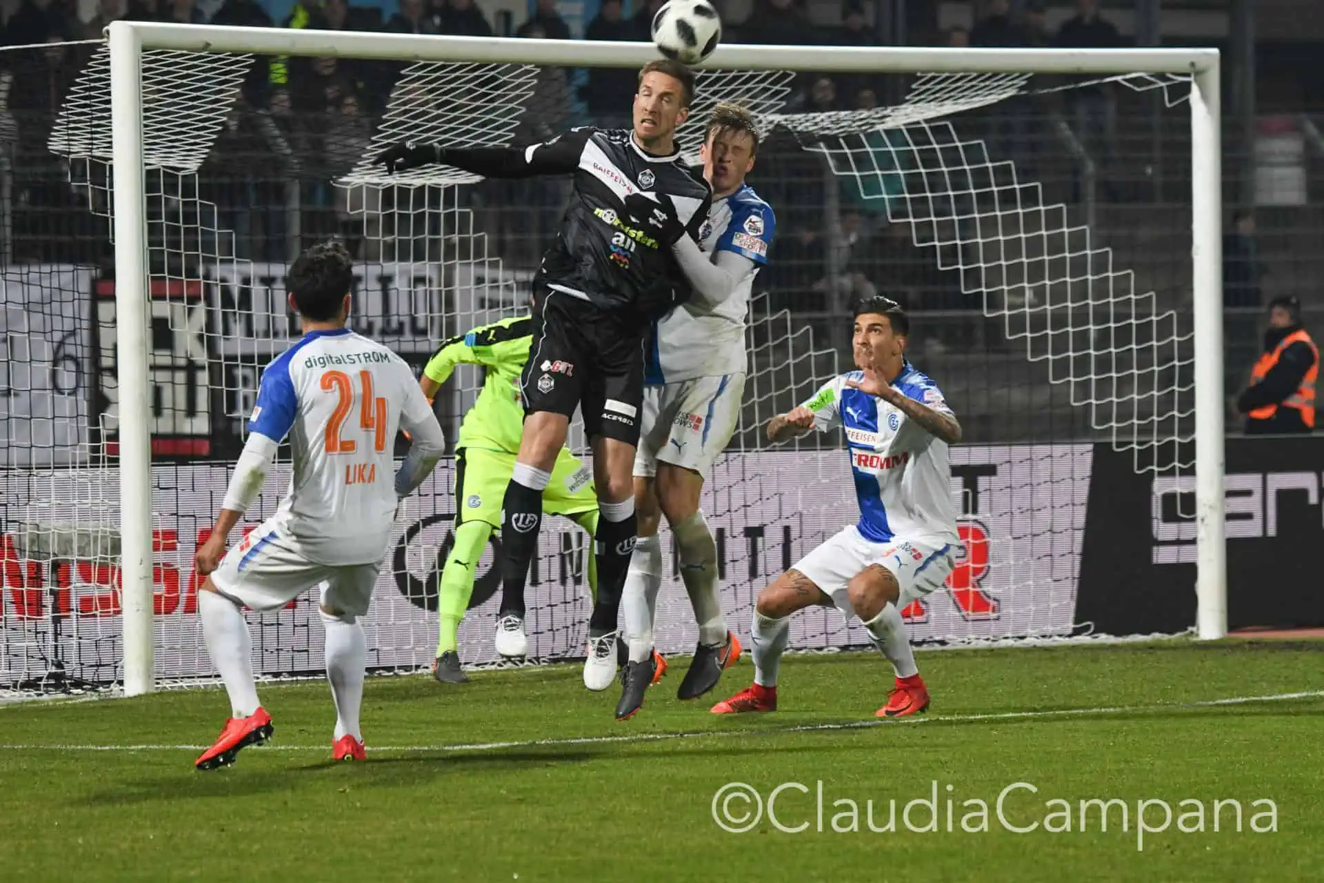 La vittoria contro le cavallette in fotografia 62