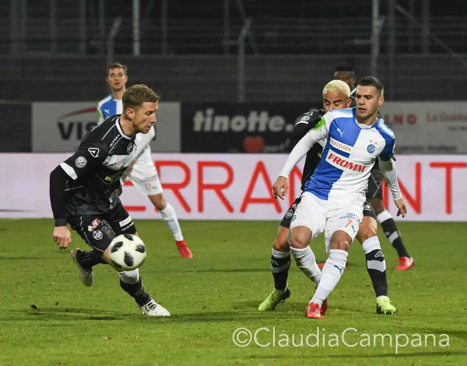 La vittoria contro le cavallette in fotografia 64