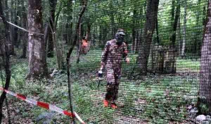 Lostallo: a caccia coi colori 2