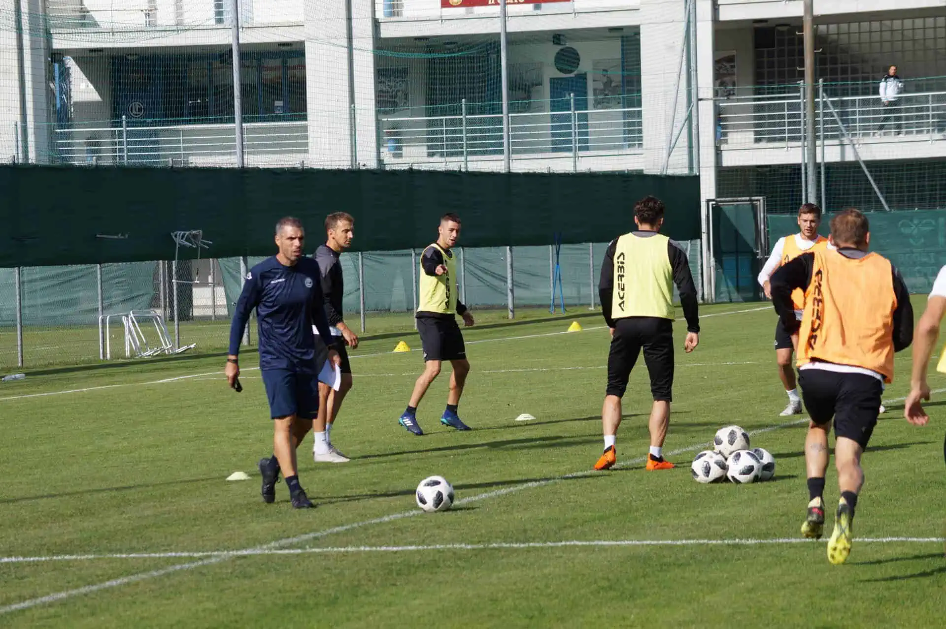 Video e allenamento anti cavallette