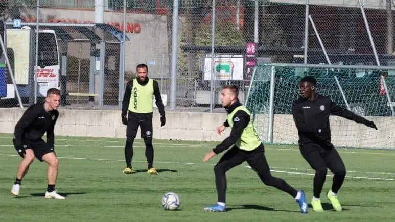 Partitella interna